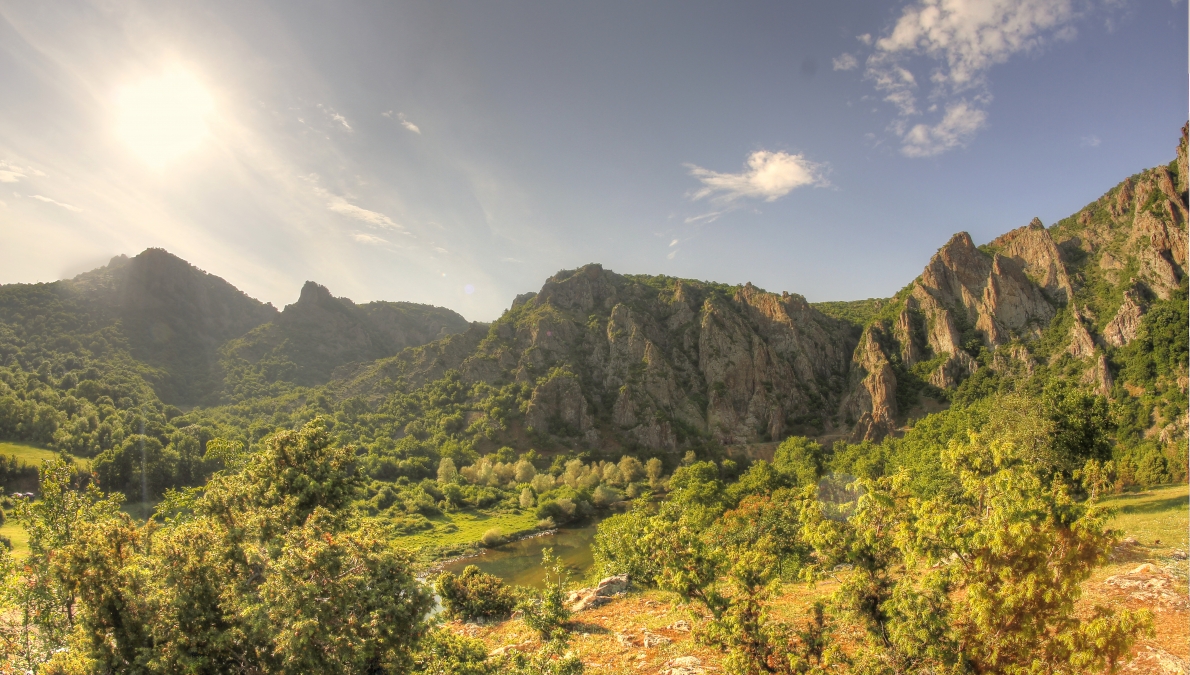 Nesting site of rare endangered diurnal raptors