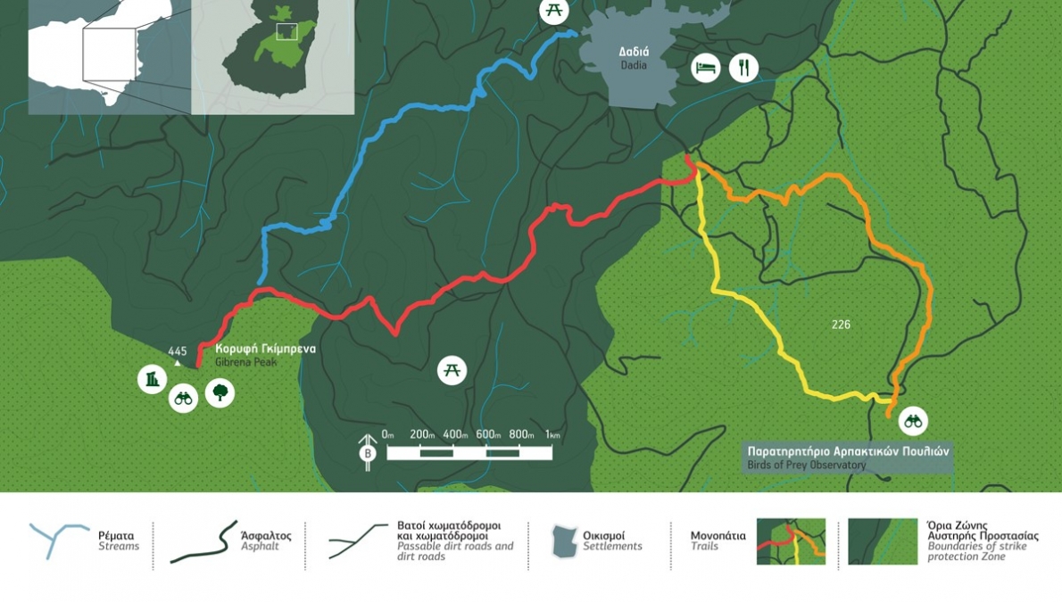 Protected area of Dadia Forest