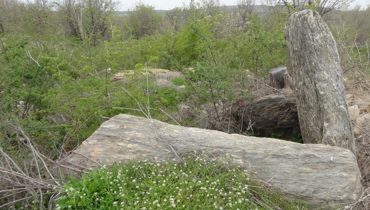 Dolmen necropolis - village of Cherepovo