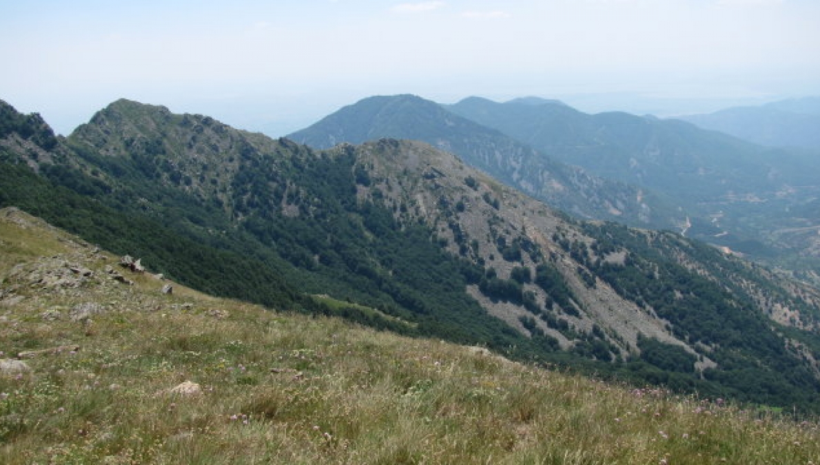 Еastern Rhodopes, Stambolovo