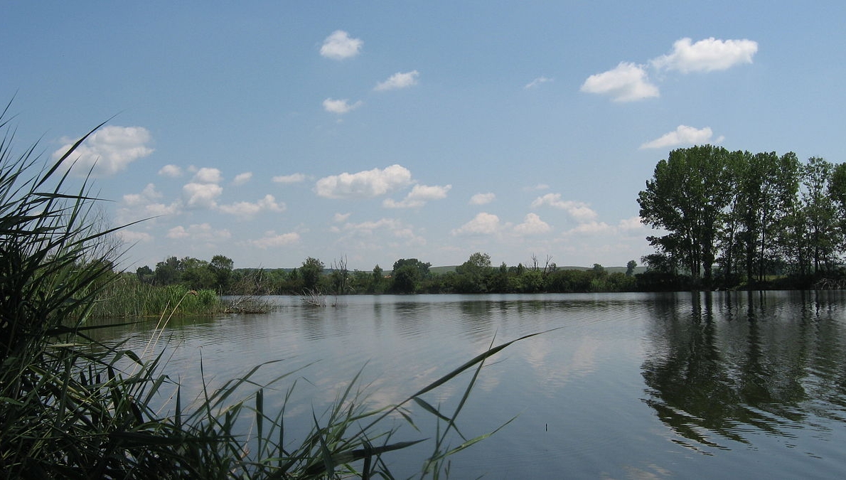 Zlato Pole, village of Nova Nadezhda