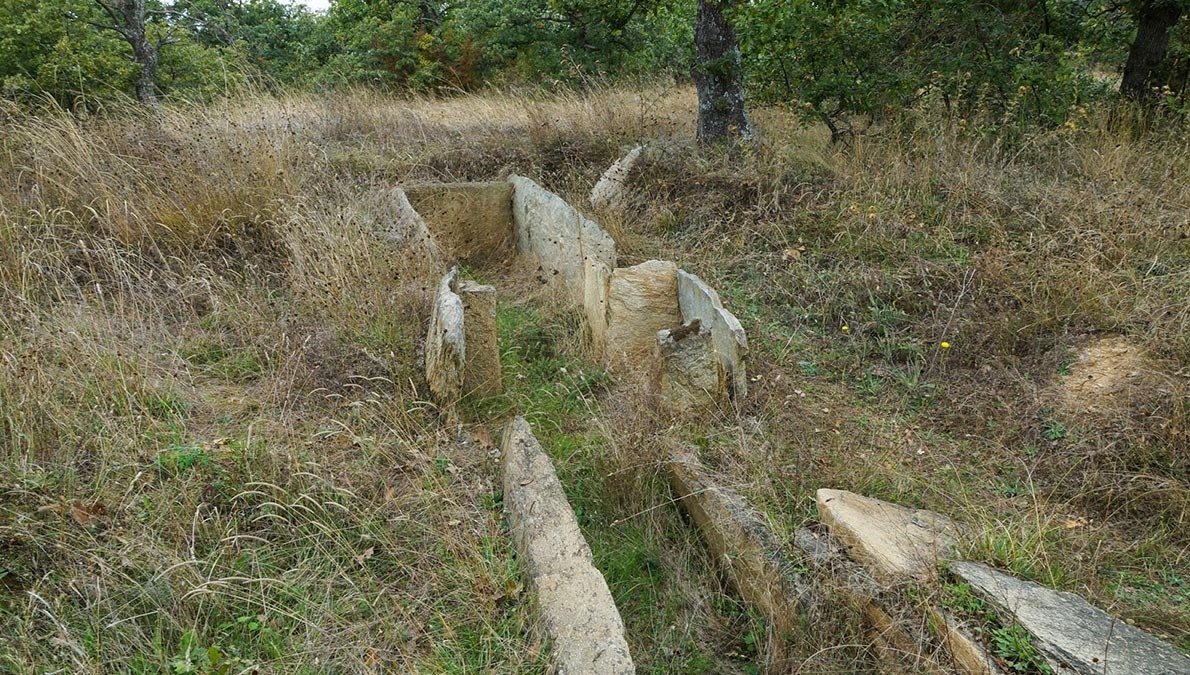 Мегалитно гробно съоръжение (долмен), с. Плевун