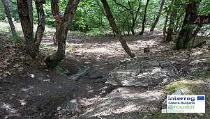 Fossilized Forest of Lefkimi and Fylakto